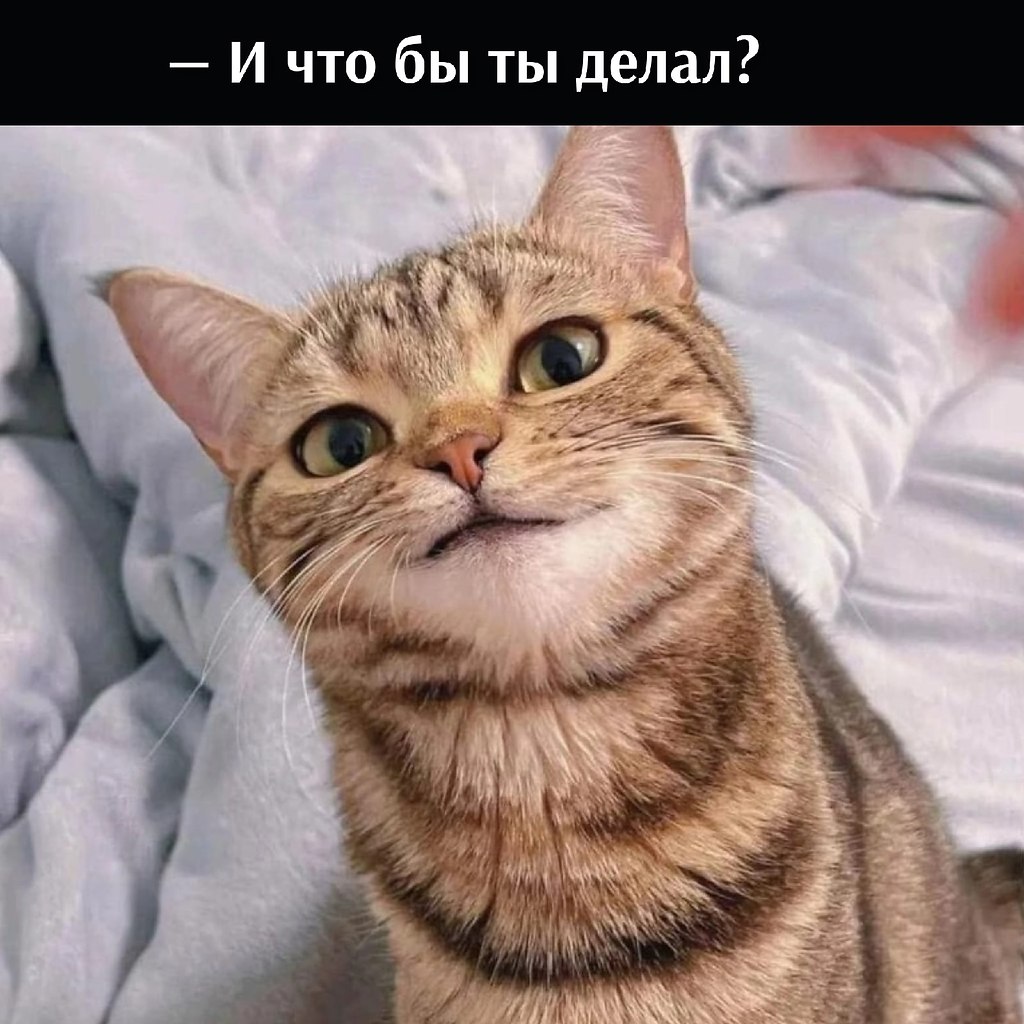       - 7  2025  11:38 - 3