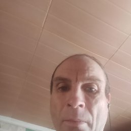 �������, �������, 43 ����