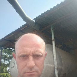 , 41, 