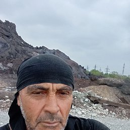 , 59, 
