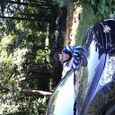 ���� ������, �����-���������, 41 ��� - ��������� 20 ����� 2024 � ������ ���� ����������