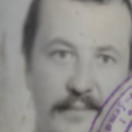 ������, �����, 46 ���