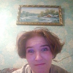 ������ ������������, 41 ���, ��������