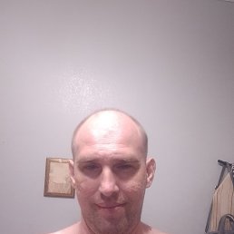 ����, 41 ���, ������������