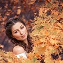 ���� ������, ������, 40 ��� - ��������� 8 ������ 2026 � ������ ���� ����������