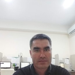 , 37, 