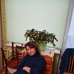 , 53, 