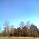  , , 54  -  16  2024    