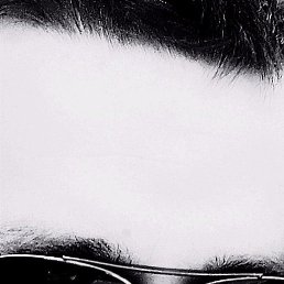 �����, ������, 33 ����