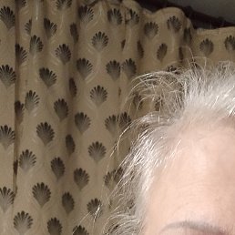 �������, �����������, 66 ���