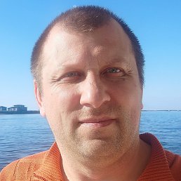 ������, �������, 41 ���