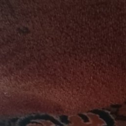 ������, ������, 49 ���