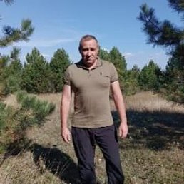 ������, �������, 44 ����