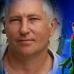 ������, 50 ���, ������