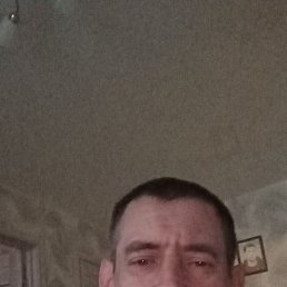 , 48, 