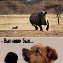 ���� �����, ���, 65 ��� - ��������� 28 ������� 2024 � ������ ���� ����������