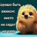 ���� �����, ������, 51 ��� - ��������� 7 ������ 2024 � ������ ���� ����������