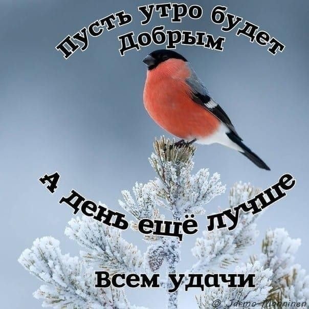   ,    . - 13  2024  22:17 - 2