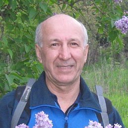 �������, ������, 65 ���