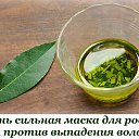 ���� �������, ������, 77 ��� - ��������� 14 ���� 2026 � ������ ������ ��������