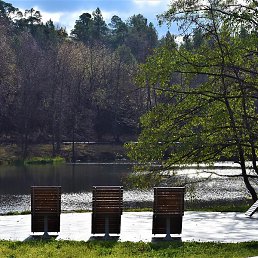 ������, ������ ��������, 19 ���