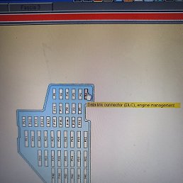 �������, ������� ��������, 49 ���