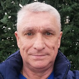 ����, ���������, 41 ���