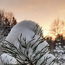 ���� �����, �����-��������� - ��������� 7 ������ 2026 � ������ ���� ����������