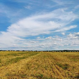 Jl, ������