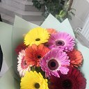 ���� �����, ��������, 55 ��� - ��������� 18 ���� 2025 � ������ ���� ����������