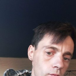 , 33, 