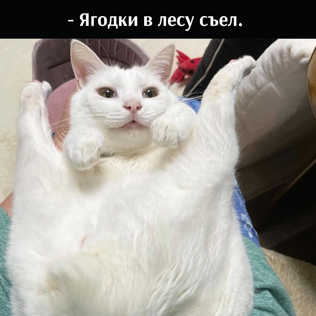 => - 3