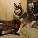 ���� ����, ������-��-����, 58 ��� - ��������� 4 ������ 2026 � ������ ���� ����������