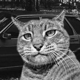 Ffj, �����������, 54 ����