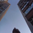 ���� �����, �����, 26 ��� - ��������� 5 ������ 2023