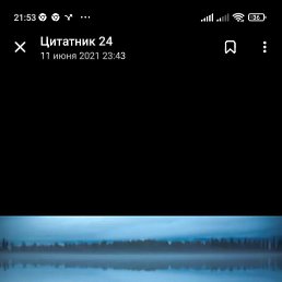 �����, ����, 36 ���