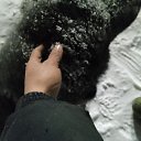 ���� ����, ������, 45 ��� - ��������� 2 ������� 2024