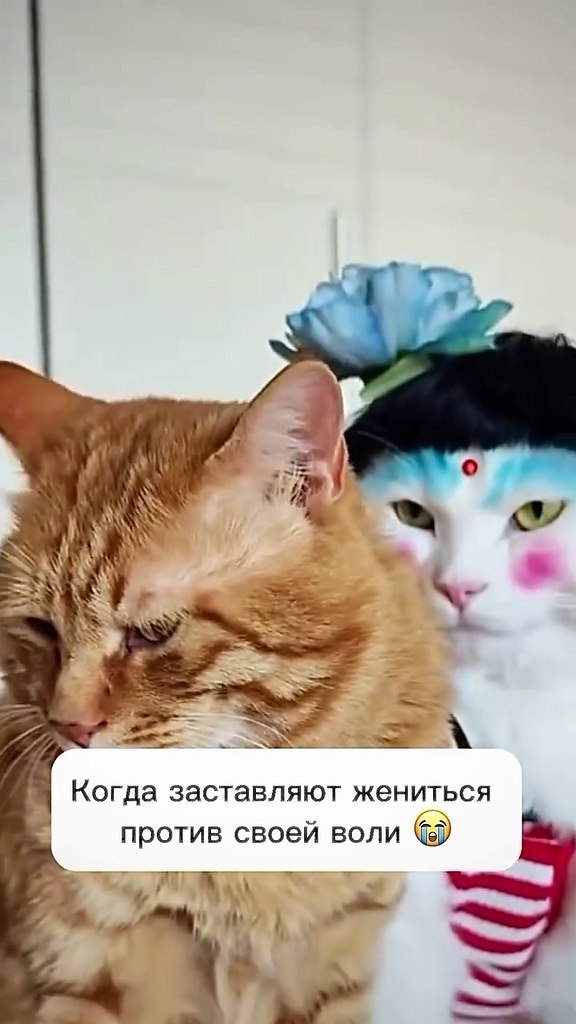      ) - 2