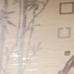 �������, ������, 41 ���