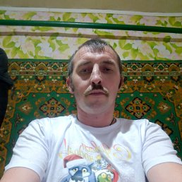 , 37, 