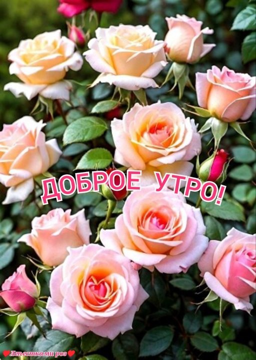   ,    . - 7  2025  22:51