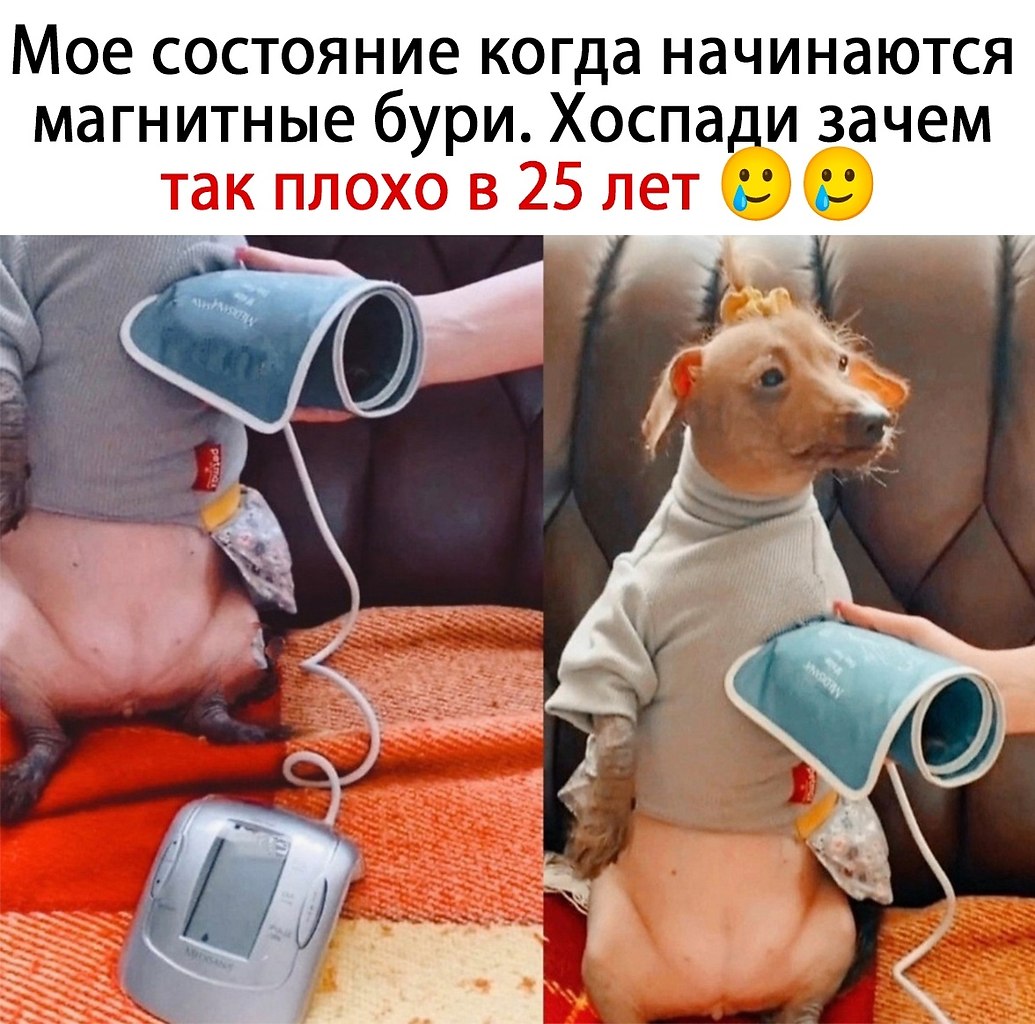  - 6  2024  03:49