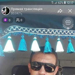 , 37, 
