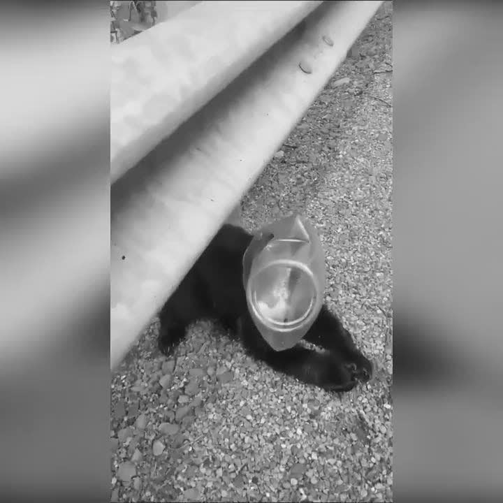 �������� ������ ���� ���� �� ����, ��� �� ��� �������, ��� �� �������, ��� ������� �������, ������� ...
