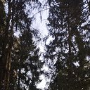 ���� �����, ����, 35 ��� - ��������� 3 ������ 2026 � ������ ���� ����������