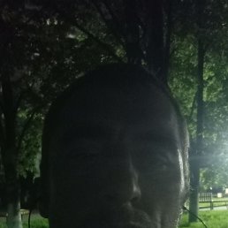 , 37, 