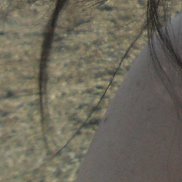 , 52 , 