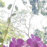 Selena, , ������