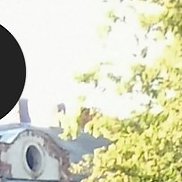 ����, 43 ����, �����-���������