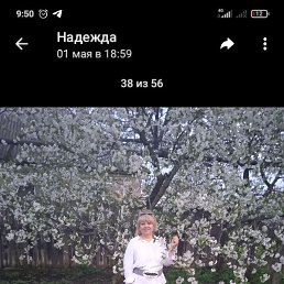 , , 50 